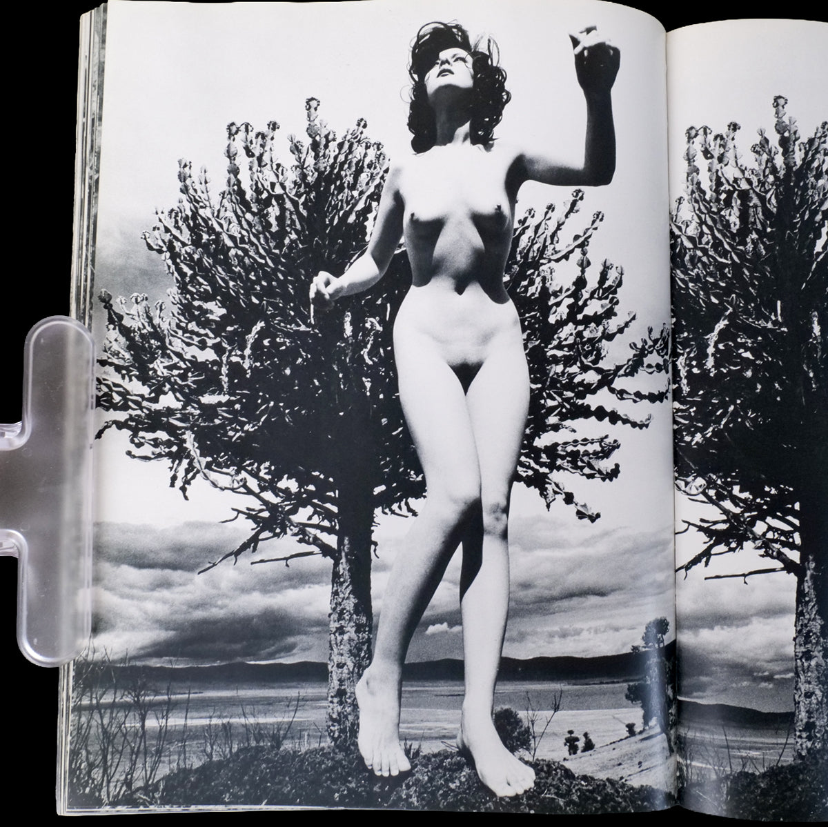 Ema Nude in Africa - Masaya Nakamura (1971)