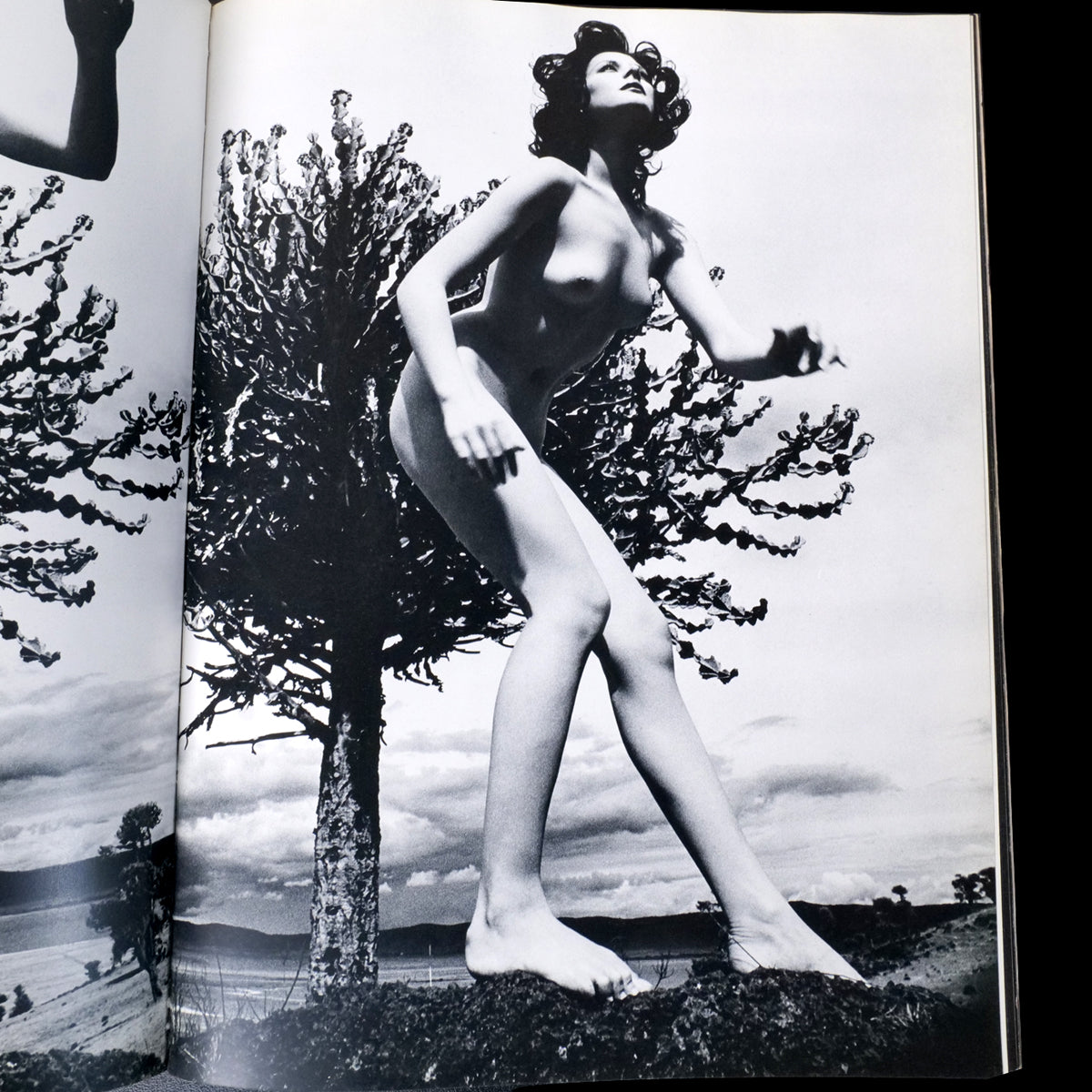 Ema Nude in Africa - Masaya Nakamura (1971)