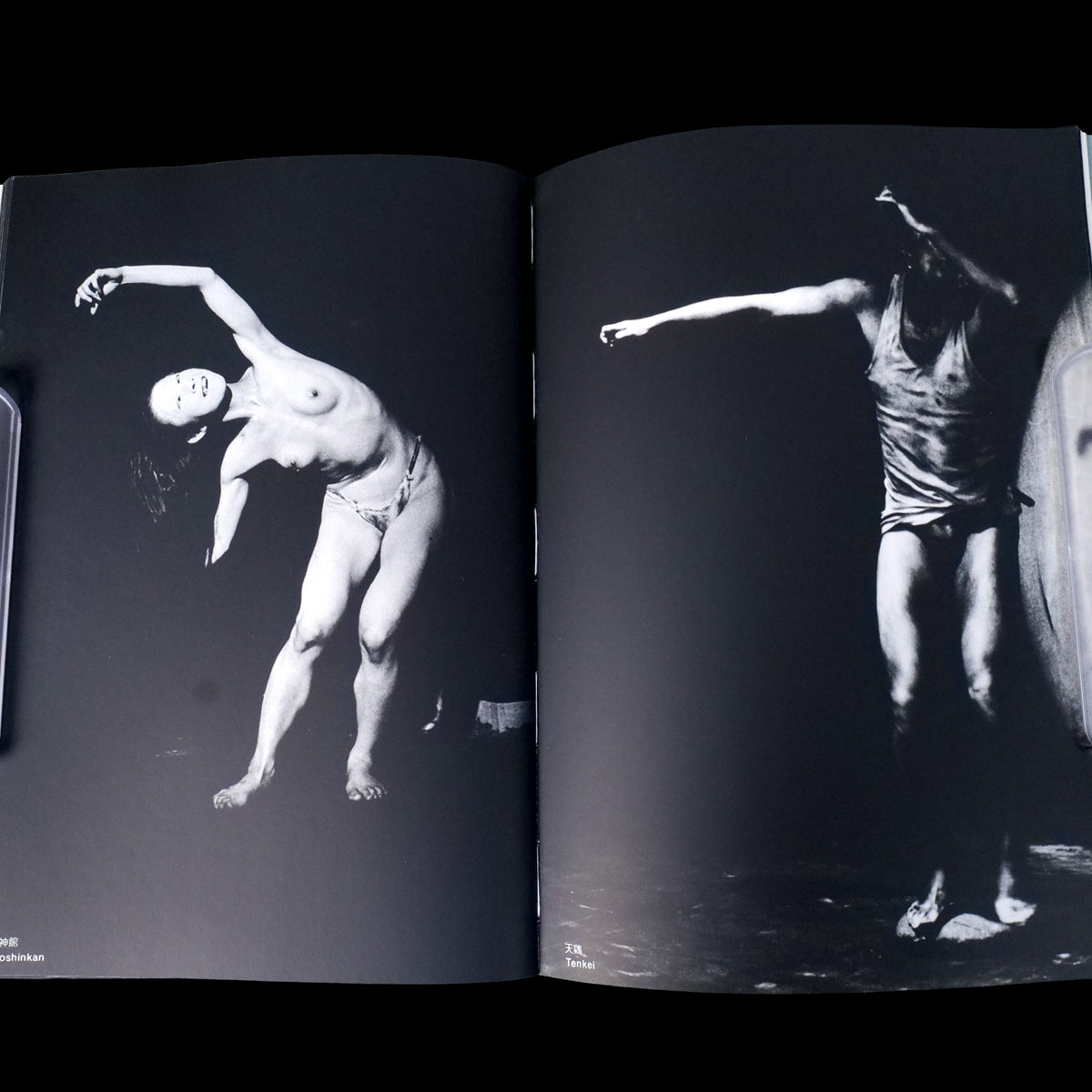 The Butoh - Mitsutoshi Hanaga (1983)