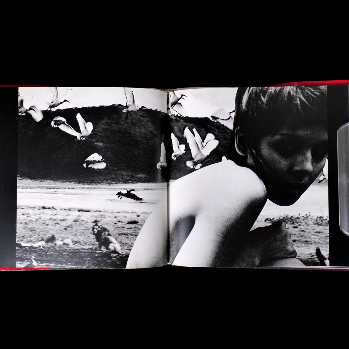 Ema Nude in Africa - Masaya Nakamura  (1978)