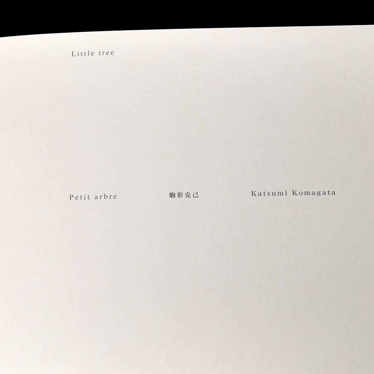 Katsumi Komagata - Little Tree