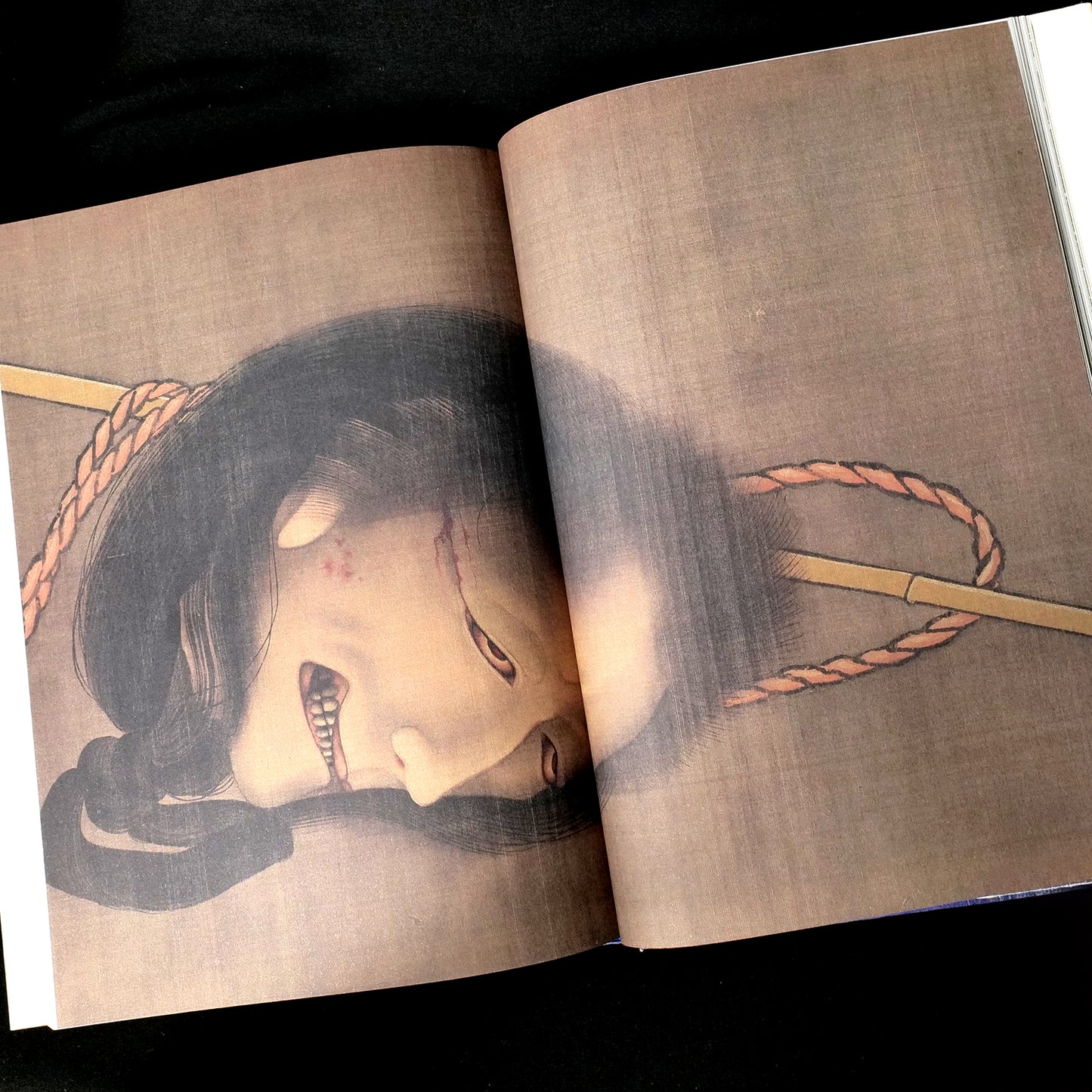 Katsushika Hokusai Yokai Hyakkei - Yokai Demon Art Book