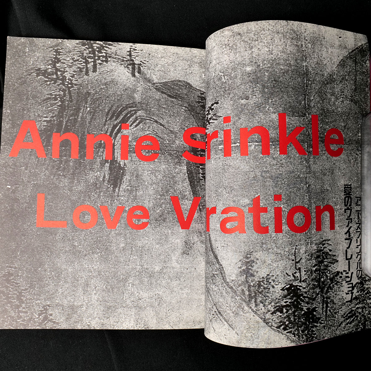 Annie Sprinkle's Love Vibrations (1996)